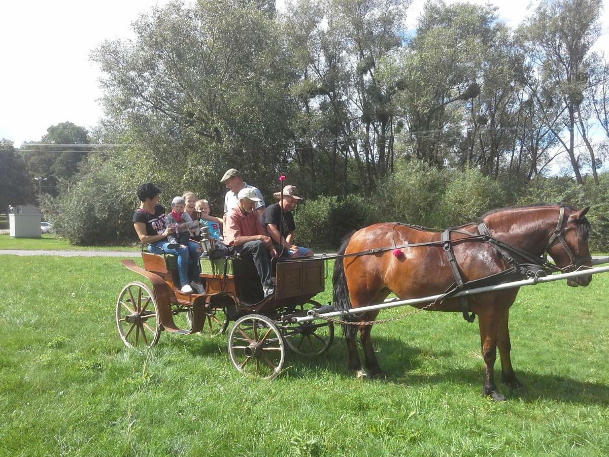 Agroturystyka U Krystyny Rybczewice Kültér fotó